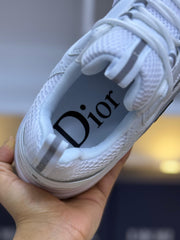 Dior B22