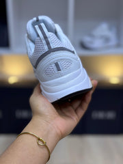 Dior B22