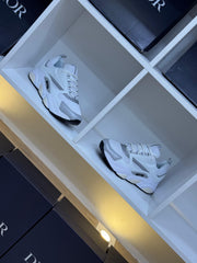 Dior B22